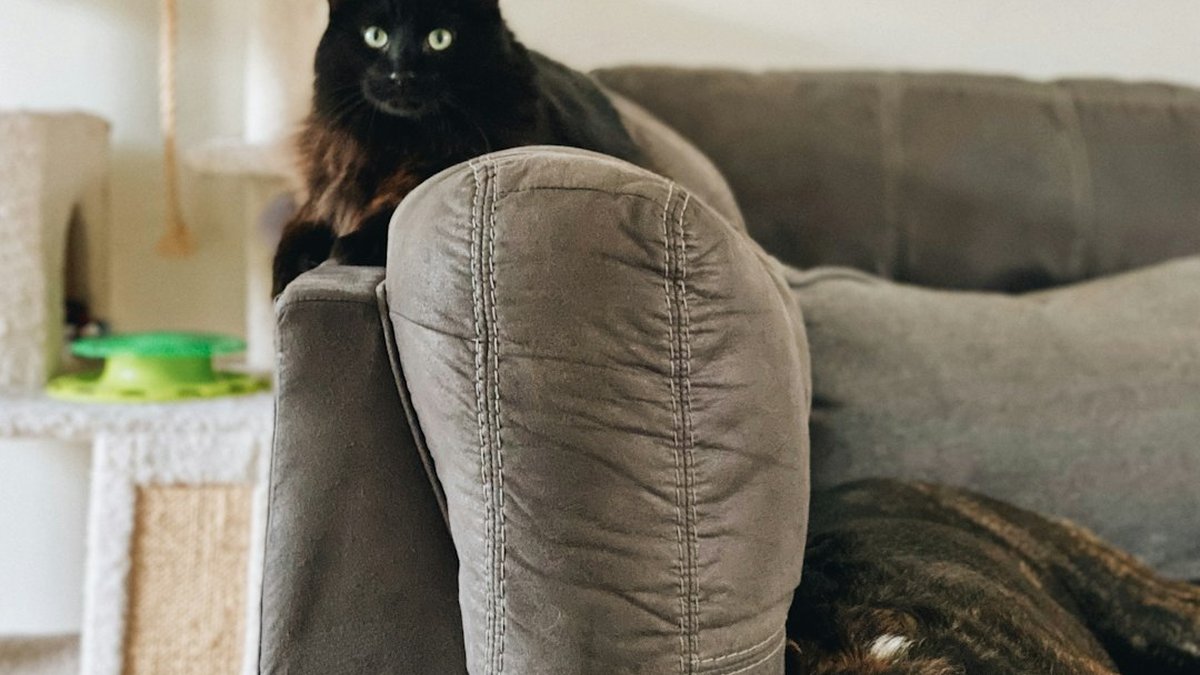 Best Time Tracking App: Top Picks for Productivity