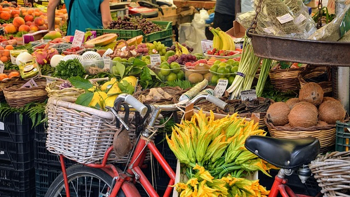 Freelance Expense Tracking Spreadsheet: Complete Guide