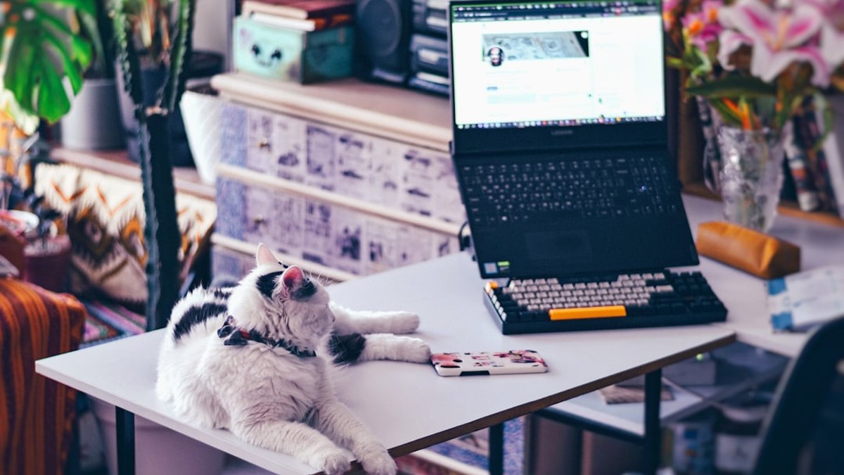 How Much Should a Freelancer Charge? Practical Rates Guide