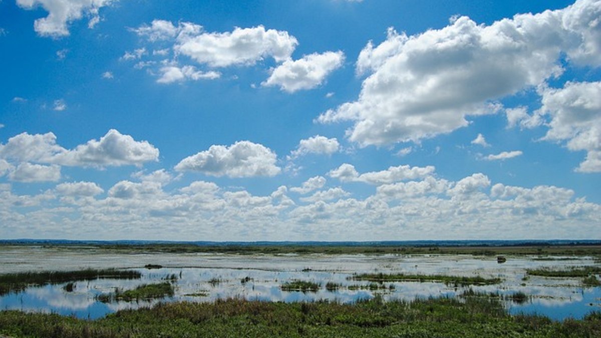 How Much to Charge Per Hour as a Freelancer