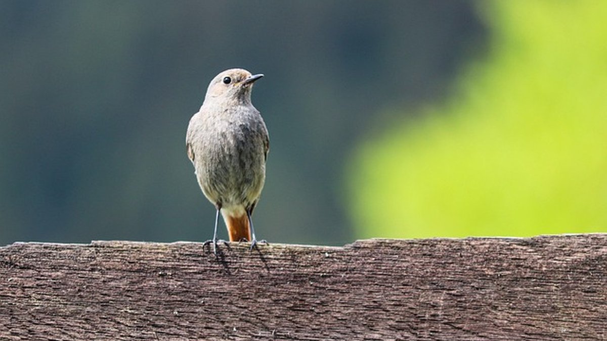 How to Invoice International Clients: Practical Guide