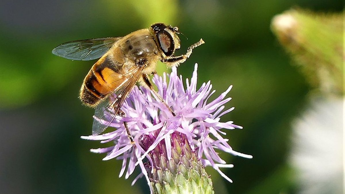 Handling Late Payment from a Client — Freelance Guide