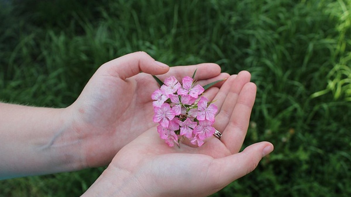 Organize Your Freelance Business: Systems That Scale