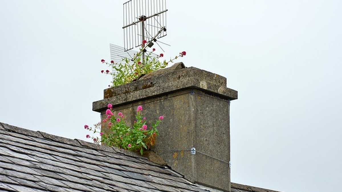 Property Tax Deduction for Freelancers: Maximize Allowed Relief