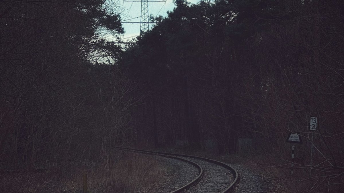 Toggl Track Freelancer Review: Best Fit for Independent Professionals