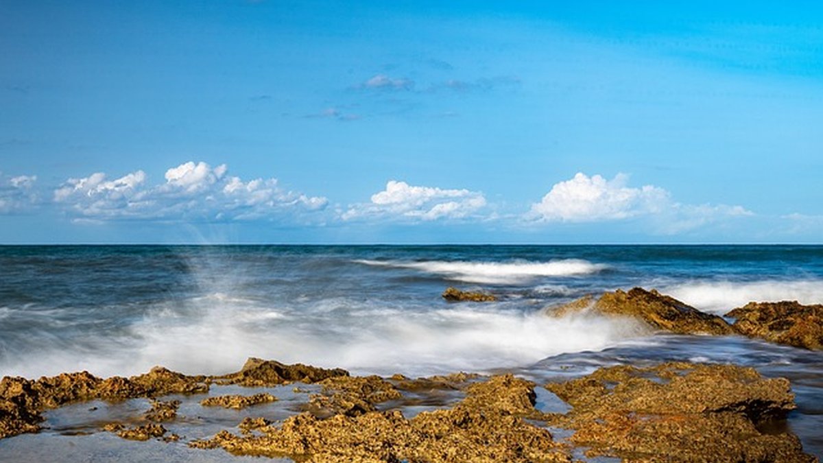 Wave Invoicing Tutorial: Step-by-Step Guide